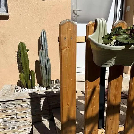 Appartement Centre With Terrace 2